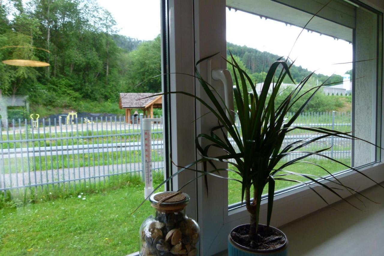 Apartment Bb Nad Kryniczanka *